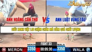Trận 33 Bồ Gà C3 Ngày 4/8/2025