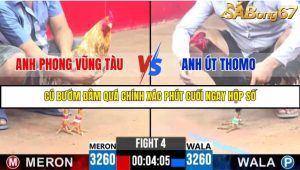 Trận 4 Bồ Gà C3 Ngày 4/8/2025