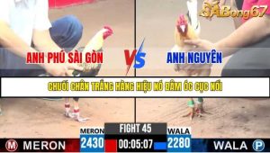 Trận 45 Bồ Gà C3 Ngày 4/8/2025