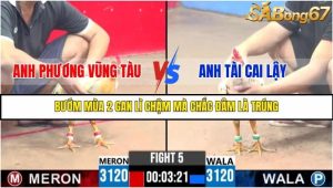 Trận 5 Bồ Gà C3 Ngày 4/8/2025