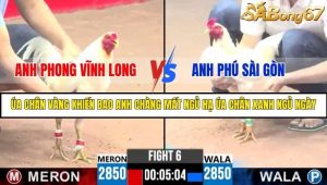 Trận 6 Bồ Gà C3 Ngày 4/8/2025
