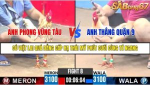 Trận 8 Bồ Gà C3 Ngày 4/8/2025