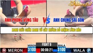 Trận 9 Bồ Gà C3 Ngày 4/8/2025