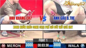 Trận 1 Bồ Gà C3 Ngày 5/8/2025