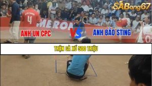 Trận 1 Bồ Gà Tonhon Ngày 13/8/2025