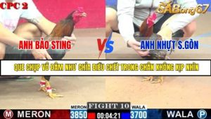 Trận 10 Bồ Gà C2 Ngày 6/8/2025