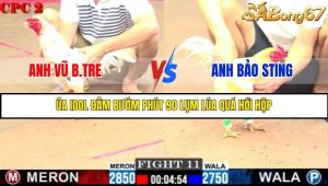 Trận 11 Bồ Gà C2 Ngày 1/8/2025