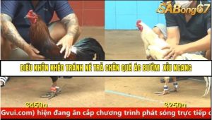 Trận 11 Bồ Gà C4 Ngày 16/8/2025