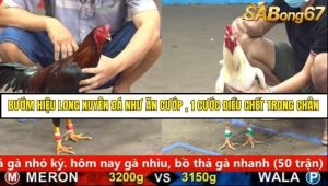 Trận 11 Bồ Gà C5 Ngày 21/8/2025