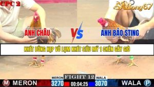 Trận 12 Bồ Gà C2 Ngày 1/8/2025