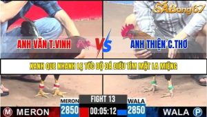 Trận 13 Bồ Gà C3 Ngày 3/8/2025