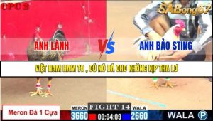 Trận 14 Bồ Gà C2 Ngày 1/8/2025