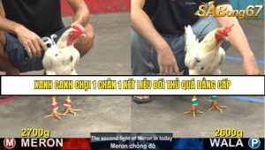 Trận 14 Bồ Gà CPC5 Ngày 14/8/2025