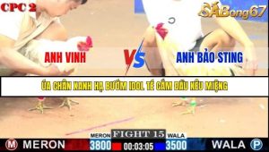 Trận 15 Bồ Gà C2 Ngày 1/8/2025