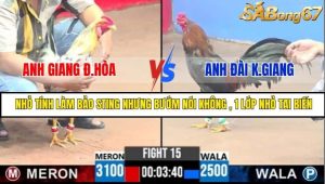 Trận 15 Bồ Gà C3 Ngày 5/8/2025