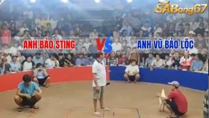 Trận 15 Bồ Gà Tonhon Ngày 13/8/2025 