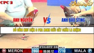 Trận 16 Bồ Gà C2 Ngày 1/8/2025