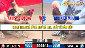 Trận 16 Bồ Gà C3 Ngày 3/8/2025
