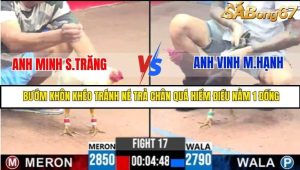 Trận 17 Bồ Gà C3 Ngày 6/8/2025