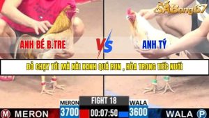Trận 18 Bồ Gà C3 Ngày 3/8/2025