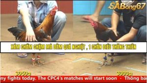 Trận 18 Bồ Gà C4 Ngày 17/8/2025