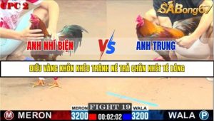 Trận 19 Bồ Gà C3 Ngày 6/8/2025