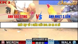 Trận 2 Bồ Gà C2 Ngày 1/8/2025