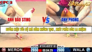 Trận 2 Bồ Gà C2 Ngày 6/8/2025