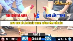 Trận 2 Bồ Gà C3 Ngày 3/8/2025