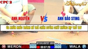 Trận 20 Bồ Gà C2 Ngày 1/8/2025