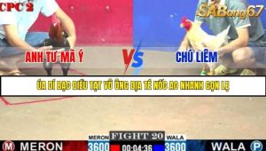 Trận 20 Bồ Gà C2 Ngày 3/8/2025