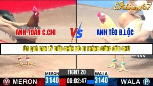 Trận 20 Bồ Gà C3 Ngày 1/8/2025