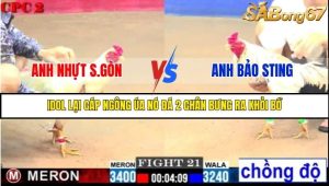 Trận 21 Bồ Gà C2 Ngày 1/8/2025