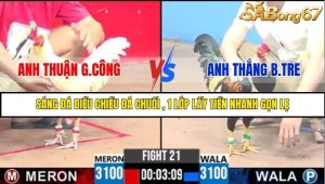 Trận 21 Bồ Gà C3 Ngày 5/8/2025