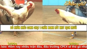 Trận 21 Bồ Gà C4 Ngày 17/8/2025