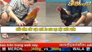 Trận 21 Bồ Gà C5 Ngày 18/8/2025