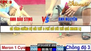 Trận 22 Bồ Gà C2 Ngày 1/8/2025