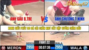 Trận 22 Bồ Gà C3 Ngày 1/8/2025
