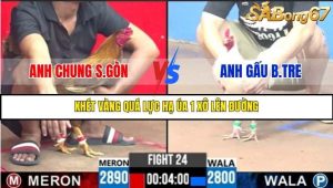 Trận 24 Bồ Gà C3 Ngày 1/8/2025
