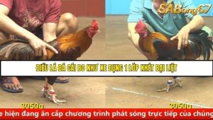 Trận 25 Bồ Gà C4 Ngày 17/8/2025