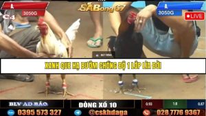 Trận 25 Bồ Gà C4 Ngày 2/8/2025