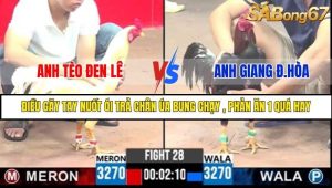 Trận 28 Bồ Gà C3 Ngày 3/8/2025