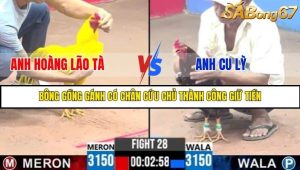 Trận 28 Bồ Gà C3 Ngày 6/8/2025