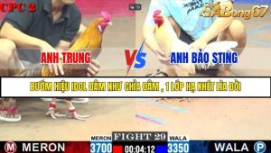 Trận 29 Bồ Gà C2 Ngày 6/8/2025
