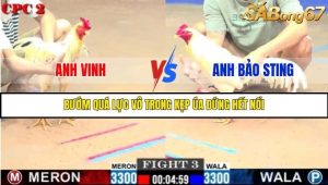 Trận 3 Bồ Gà C2 Ngày 1/8/2025