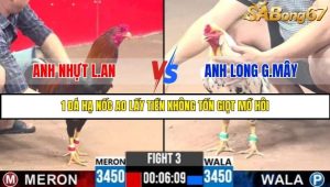 Trận 3 Bồ Gà C3 Ngày 3/8/2025