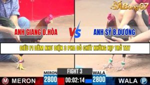 Trận 3 Bồ Gà C3 Ngày 5/8/2025