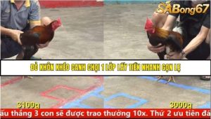Trận 3 Bồ Gà C5 Ngày 12/8/2025