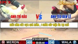 Trận 30 Bồ Gà C2 Ngày 6/8/2025