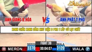 Trận 39 Bồ Gà C3 Ngày 3/8/2025
